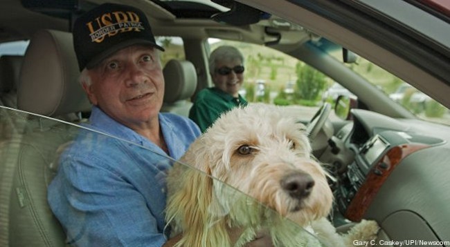 Tom-Tancredo-Dog-Car-cropped-proto-custom_28