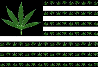 Marijuana Nation