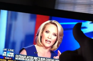 Sexy laurie dhue Fox News