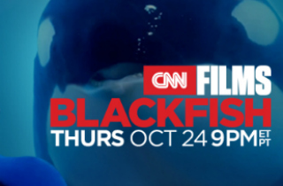 blackfish