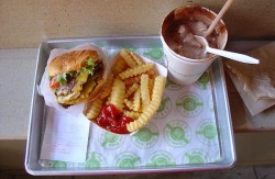 obama-shakeshack