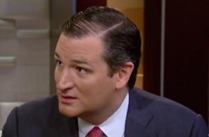 vlcsnap-2015-06-30-11h06m46s329-e1435676879691-300x197