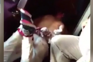 Screen Shot 2015-08-22 at 1.15.51 PM