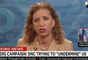 dws on bernie sanders campaign data breach