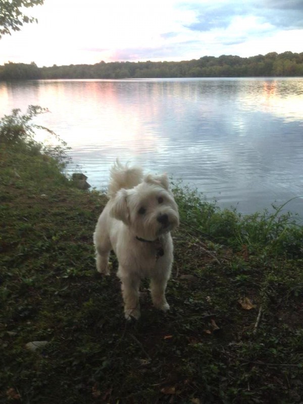 Chase Concha, 6, at the Franklin Lakes Nature Preserve last year.