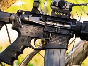 AR15