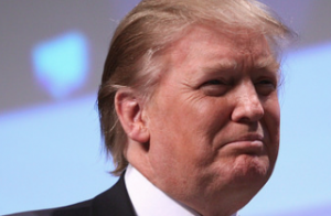 Screen Shot 2016-06-20 at 11.04.27 AM