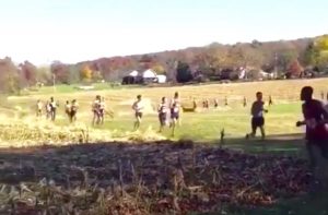 screen-shot-2016-11-17-at-11-37-30-am-1