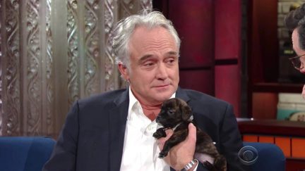Bradley Whitford