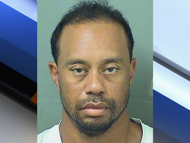 Tiger Woods Mug Shot