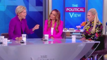 Elizabeth Warren Boycott Meghan McCain says Fox Isn't 'Racist Organization'