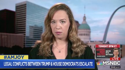 Sarah Kendzior Mediaite