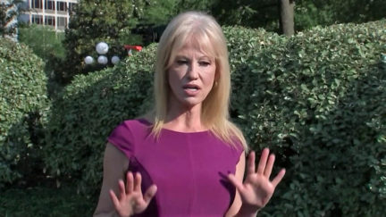 Trump White House Says OSC Is Violating Kellyanne Conway's 'Free Speech' By Calling for Firing
