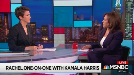 Kamala Harris Slams 'Fear' Instilled by Trump's Deportation Tweets