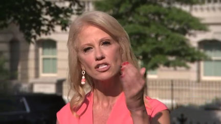 Kellyanne Conway Melts Down at Pete Alexander Question: You're Throwing 'A Molotov Cocktail'