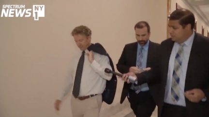 Rand Paul Runs from NY1 Reporter