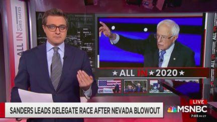 Chris Hayes Addresses Dems' 'Freaking Out' About Bernie Sanders