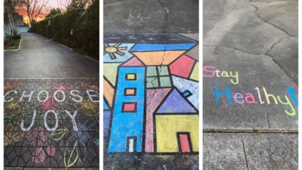 More than 60 neighborhood homes contributed to the community art museum, and Sashin is hopeful that this could become a tradition.