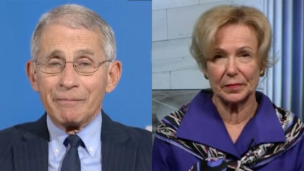 Anthony Fauci, Deborah Birx