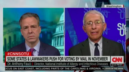 dr fauci jake tapper