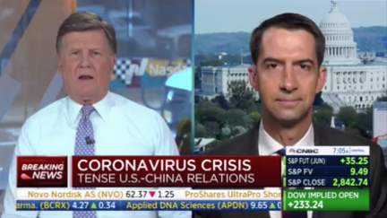 Tom Cotton, Joe Kernen