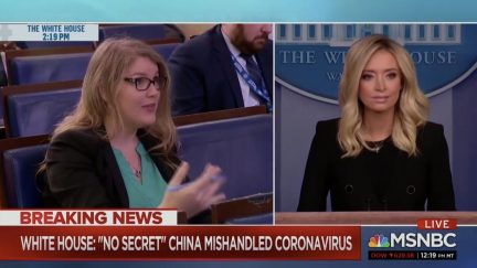 jill colvin Kayleigh McEnany