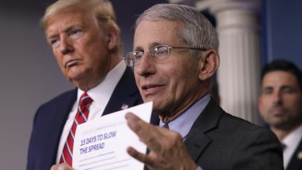 Trump and Fauci discuss the plan for combating coronavirus on March 20, 2020, at the White House