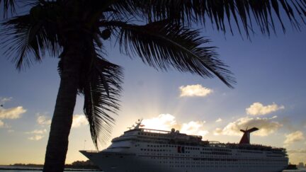 cruise ship at sunset with palm tree