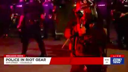 Louisville Police Repeatedly Shoot Pepper Pellets at TV Crew Live on Air