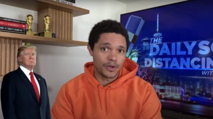 trevor noah