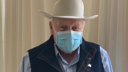 dick cheney face mask