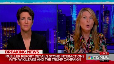 Nicolle Wallace Condemns 'Zombie' GOP for Complicity After Trump Commutes Roger Stone Sentence