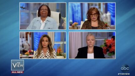 the view hosts