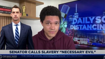 trevor noah tom cotton