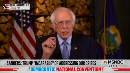 Bernie Sanders Urges Supporters to Back Biden to Defeat Trump