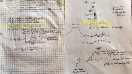 Massie Flatten the Curve Algebra