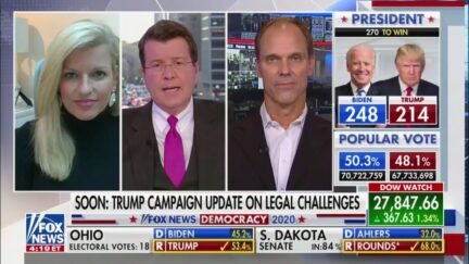lee carter neil cavuto