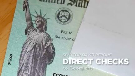 David Perdue Ad, Direct Checks