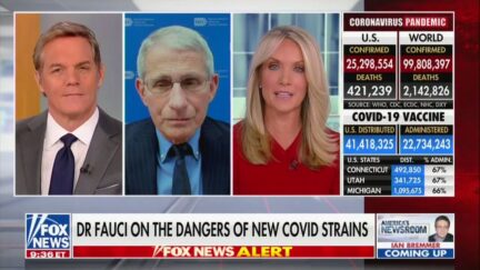 facui on americas newsroom