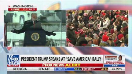 trump at stop the steal