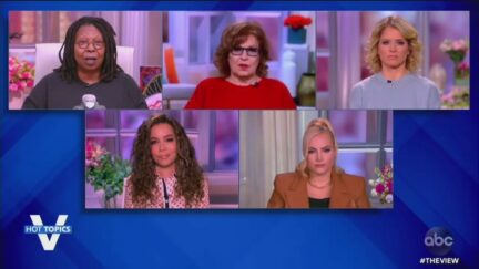 the view hosts