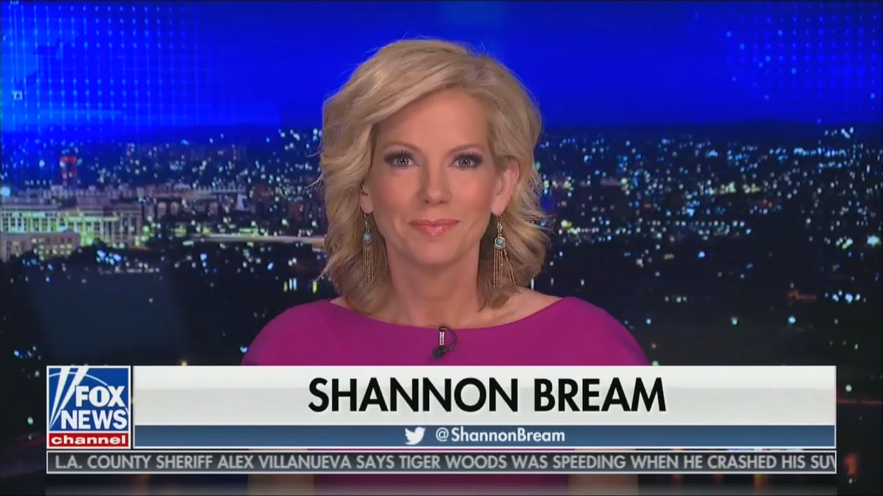 Shannon Bream Named New Host of Fox News Sunday