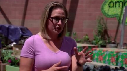Kyrsten Sinema