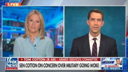Tom Cotton