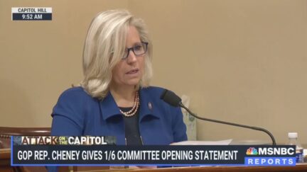 Liz Cheney