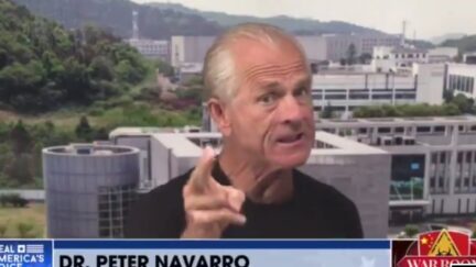 Peter Navarro