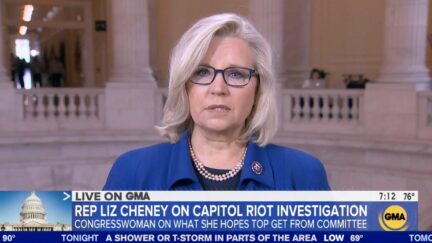 Liz Cheney
