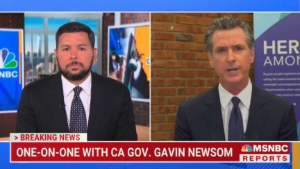 Gavin Newsom