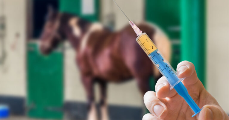 FDA Has Snappy Response to Vaccine Skeptics Taking Horse Meds