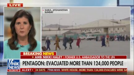 Nikki Haley Decries 'Softball' Questions to Pentagon on Afghanistan